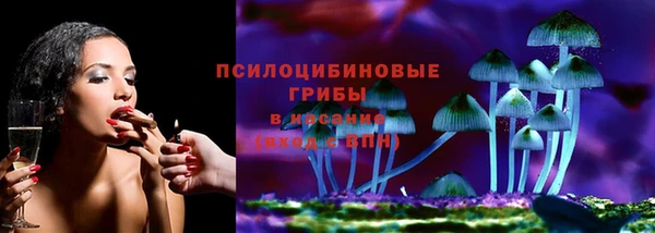 прущие грибы Балабаново