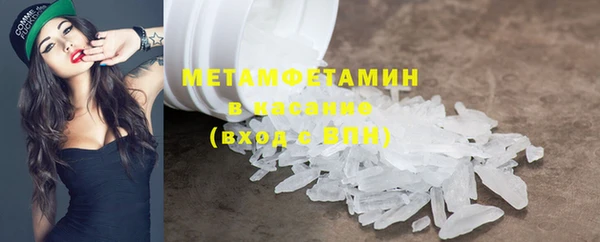 прущие грибы Балабаново