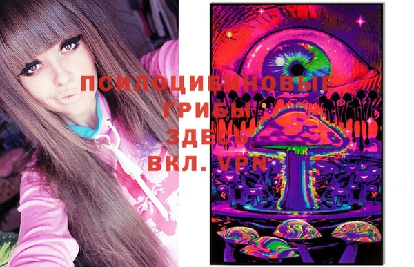 прущие грибы Балабаново