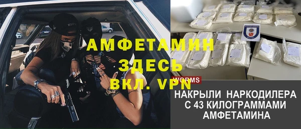 прущие грибы Балабаново