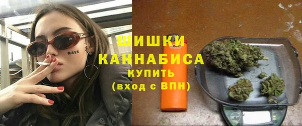прущие грибы Балабаново