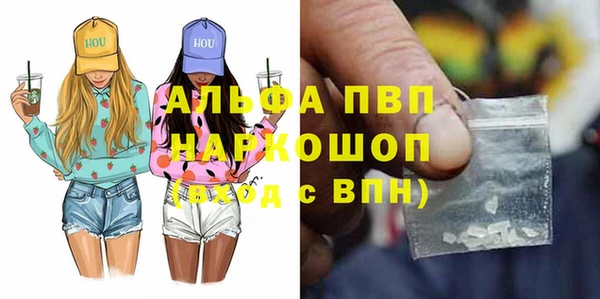прущие грибы Балабаново