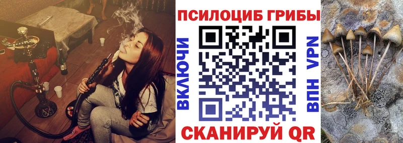 Галлюциногенные грибы мицелий  купить наркоту  blacksprut   Верея 